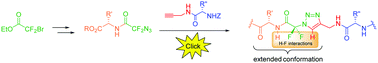 Graphical abstract: N-Difluoromethyl-triazole as a constrained scaffold in peptidomimetics