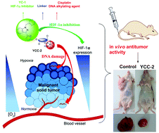 Graphical abstract: Novel hypoxia-targeting Pt(iv) prodrugs