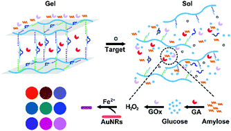 Graphical abstract: A portable visual detection method based on a target-responsive DNA hydrogel and color change of gold nanorods