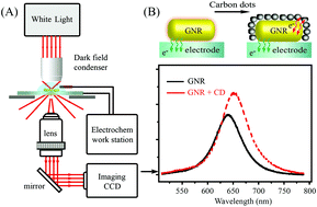 Graphical abstract: Analysis of the electron transfer properties of carbon quantum dots on gold nanorod surfaces via plasmonic resonance scattering spectroscopy