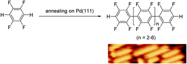 Graphical abstract: Dehydrogenative homocoupling of tetrafluorobenzene on Pd(111) via para-selective C–H activation