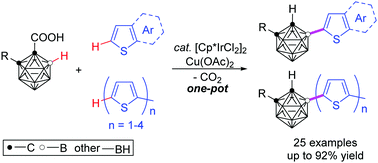 Graphical abstract: Dehydrogenative cross-coupling of o-carborane with thiophenes via Ir-catalyzed regioselective cage B–H and C(sp2)–H activation