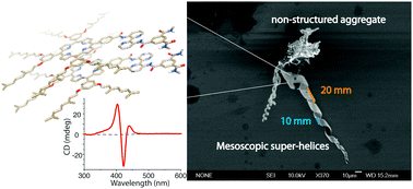 Graphical abstract: Mesoscopic helical architectures via self-assembly of porphyrin-based discotic systems