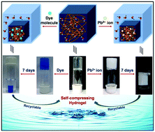 Graphical abstract: A tripeptide-based self-shrinking hydrogel for waste-water treatment: removal of toxic organic dyes and lead (Pb2+) ions