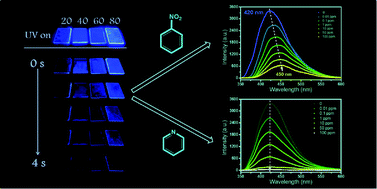 Graphical abstract: Ordered assembly of hybrid room-temperature phosphorescence thin films showing polarized emission and the sensing of VOCs