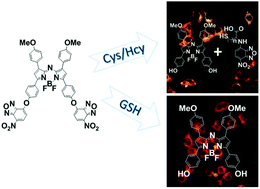 Graphical abstract: An aza-BODIPY based near-infrared fluorescent probe for sensitive discrimination of cysteine/homocysteine and glutathione in living cells