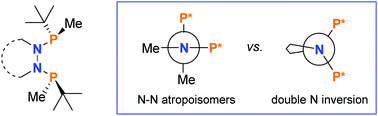 Graphical abstract: P-Stereogenic bisphosphines with a hydrazine backbone: from N–N atropoisomerism to double nitrogen inversion