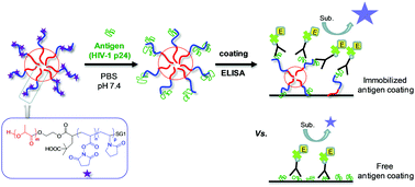 Graphical abstract: Improving bioassay sensitivity through immobilization of bio-probes onto reactive micelles