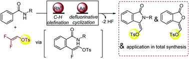 Graphical abstract: Heteroannulation enabled by a bimetallic Rh(iii)/Ag(i) relay catalysis: application in the total synthesis of aristolactam BII