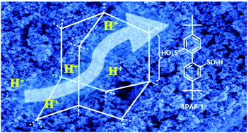 Graphical abstract: Water mediated proton conduction in a sulfonated microporous organic polymer