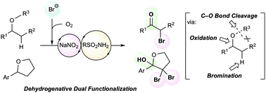 Graphical abstract: Catalytic dehydrogenative dual functionalization of ethers: dealkylation–oxidation–bromination accompanied by C–O bond cleavage via aerobic oxidation of bromide