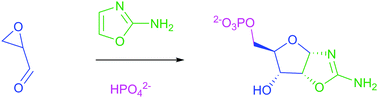 Graphical abstract: Prebiotic synthesis of aminooxazoline-5′-phosphates in water by oxidative phosphorylation