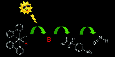 Graphical abstract: Rapid generation of HNO induced by visible light