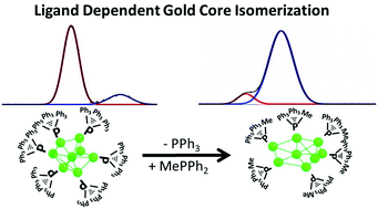 Graphical abstract: Ligand induced structural isomerism in phosphine coordinated gold clusters revealed by ion mobility mass spectrometry