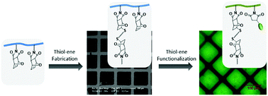 Graphical abstract: Orthogonal thiol–ene ‘click’ reactions: a powerful combination for fabrication and functionalization of patterned hydrogels