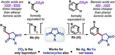 Graphical abstract: A deciduous directing group approach for the addition of aryl and vinyl nucleophiles to maleimides