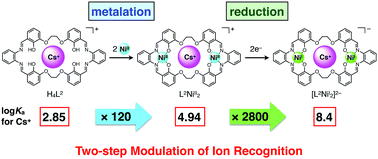 Graphical abstract: Two-step modulation of ion recognition using a bis(saloph)-macrocyclic host having a 24-crown-8-like cavity
