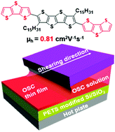 Graphical abstract: High performance solution-processable tetrathienoacene (TTAR) based small molecules for organic field effect transistors (OFETs)