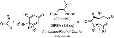 Graphical abstract: Multifunctional catalysis: stereoselective construction of α-methylidene-γ-lactams via an amidation/Rauhut–Currier sequence