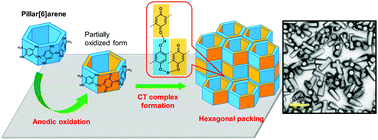 Graphical abstract: The controlled synthesis of pillar[6]arene-based hexagonal cylindrical structures on an electrode surface via electrochemical oxidation