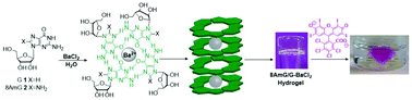 Graphical abstract: Supramolecular hydrogels for environmental remediation: G4-quartet gels that selectively absorb anionic dyes from water