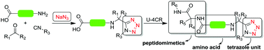 Graphical abstract: With unprotected amino acids to tetrazolo peptidomimetics