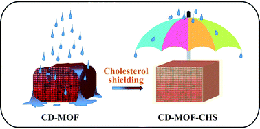 Graphical abstract: Moisture resistant and biofriendly CD-MOF nanoparticles obtained via cholesterol shielding