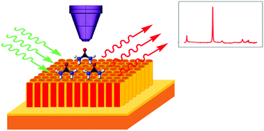 Graphical abstract: Ultrasensitive surface-enhanced Raman scattering detection of urea by highly ordered Au/Cu hybrid nanostructure arrays