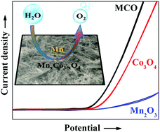 Graphical abstract: Boosting electrochemical water oxidation through replacement of Oh Co sites in cobalt oxide spinel with manganese