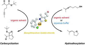 Graphical abstract: Synthesis and characterization of catalytically active thiazolium gold(i)-carbenes