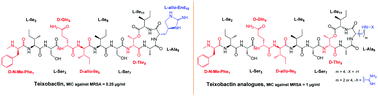 Graphical abstract: Syntheses of potent teixobactin analogues against methicillin-resistant Staphylococcus aureus (MRSA) through the replacement of l-allo-enduracididine with its isosteres