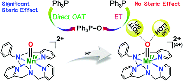 Graphical abstract: Direct oxygen atom transfer versus electron transfer mechanisms in the phosphine oxidation by nonheme Mn(iv)-oxo complexes