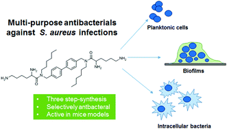 Graphical abstract: l-Lysine based lipidated biphenyls as agents with anti-biofilm and anti-inflammatory properties that also inhibit intracellular bacteria