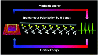 Graphical abstract: Spontaneous polarization switching and piezoelectric enhancement of PVDF through strong hydrogen bonds induced by layered double hydroxides