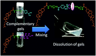 Graphical abstract: Dissipation of self-assemblies by fusion of complementary gels: an elegant strategy for programmed enzymatic reactions