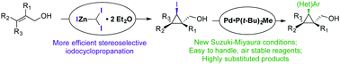 Graphical abstract: Spectroscopic characterization of (diiodomethyl)zinc iodide: application to the stereoselective synthesis and functionalization of iodocyclopropanes