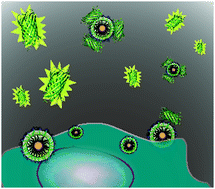 Graphical abstract: Rapid and ultrasensitive detection of endocrine disrupting chemicals using a nanosensor-enabled cell-based platform