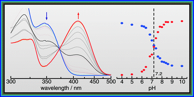 Graphical abstract: Utilization of the dye N-methyl-6-oxyquinolone as an optical acidometer in molecular solvents and protic ionic liquids