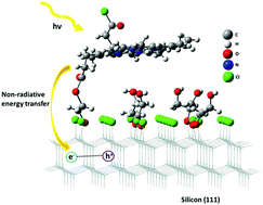 Graphical abstract: Light harvesting in silicon(111) surfaces using covalently attached protoporphyrin IX dyes