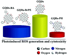Graphical abstract: How functional groups influence the ROS generation and cytotoxicity of graphene quantum dots