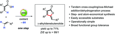 Graphical abstract: One step synthesis of γ-alkylidenebutenolides from simple vinyl carboxylic acids and alkenes