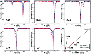 Graphical abstract: Probing the excited-state chemical shifts and exchange parameters by nitrogen-decoupled amide proton chemical exchange saturation transfer (HNdec-CEST)