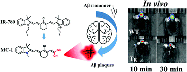 Graphical abstract: Neutral merocyanine dyes: for in vivo NIR fluorescence imaging of amyloid-β plaques
