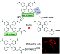 Graphical abstract: A light-up endoplasmic reticulum probe based on a rational design of red-emissive fluorogens with aggregation-induced emission