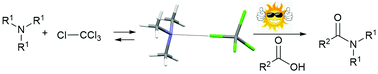 Graphical abstract: Sunlight assisted direct amide formation via a charge-transfer complex