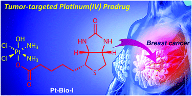 Graphical abstract: Biotin-tagged platinum(iv) complexes as targeted cytostatic agents against breast cancer cells