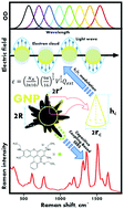 Graphical abstract: Exploiting Le Chatelier's principle for a one-pot synthesis of nontoxic HHogGNPs with the sharpest nanoscopic features suitable for tunable plasmon spectroscopy and high throughput SERS sensing