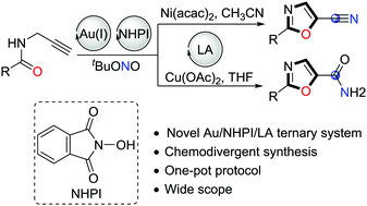 Graphical abstract: Merging gold catalysis, organocatalytic oxidation, and Lewis acid catalysis for chemodivergent synthesis of functionalized oxazoles from N-propargylamides