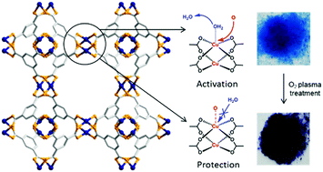 Graphical abstract: Oxygen plasma treatment of HKUST-1 for porosity retention upon exposure to moisture