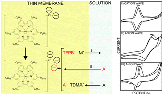 Graphical abstract: Electrochemical ion transfer mediated by a lipophilic Os(ii)/Os(iii) dinonyl bipyridyl probe incorporated in thin film membranes